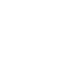 Porsche Inter Auto Logo